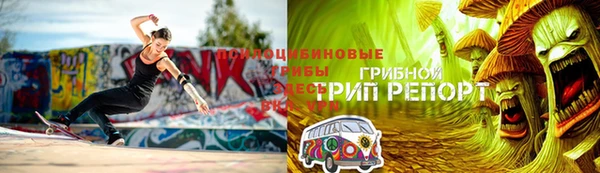 спиды Алзамай